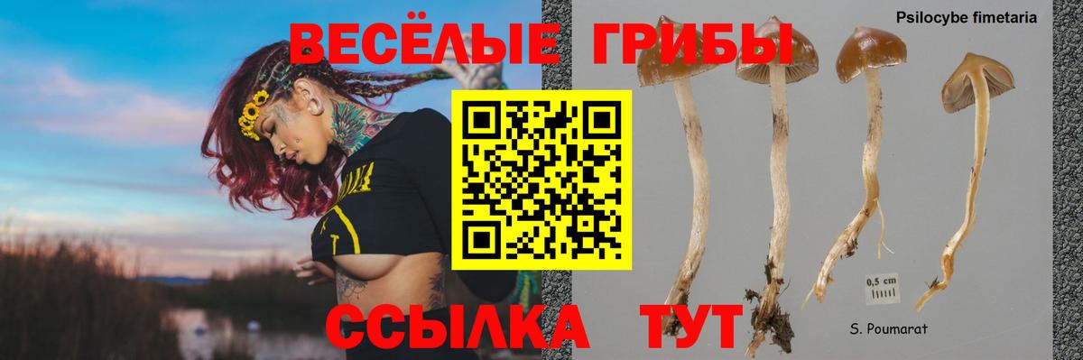 Галлюциногенные грибы MAGIC MUSHROOMS Королёв